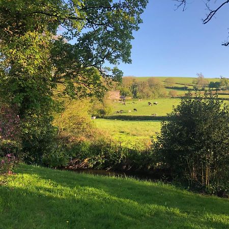 Bow Mill Farm Bed & Breakfast Totnes Exterior photo